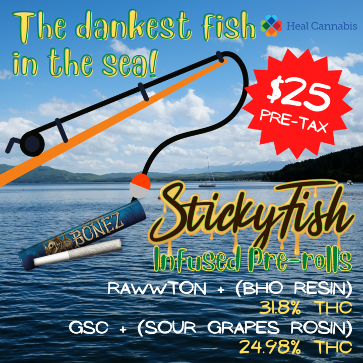 PT (WEB) - Product Highlight Sticky Fish infused pre-rolls (1080 × 1080 px)