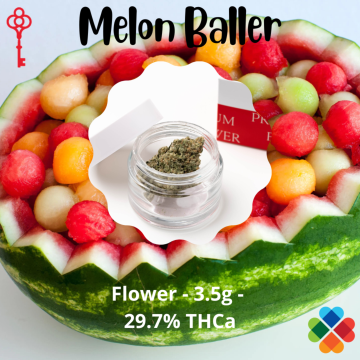 _WEB Melon Baller